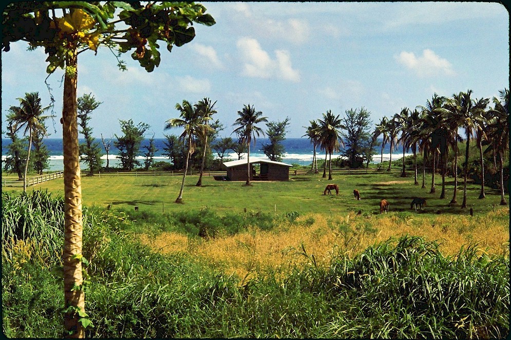 Horse ranch on east shore