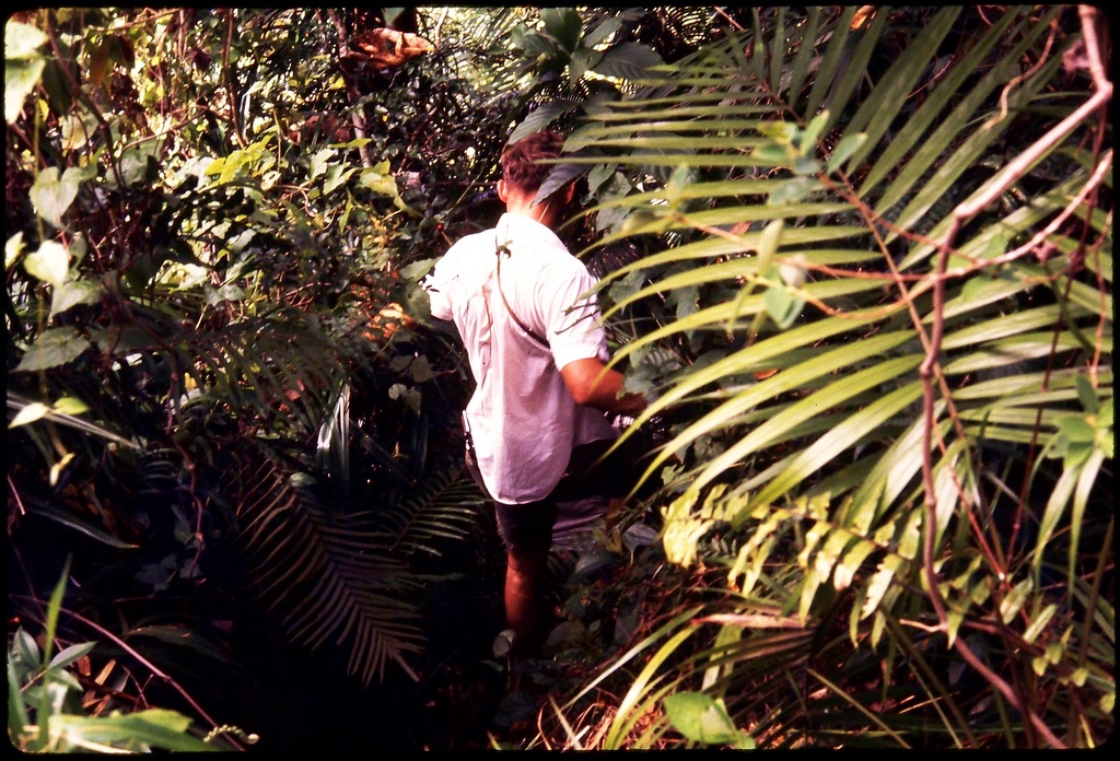 Mike Filus descends into a ravine, Guam 1968