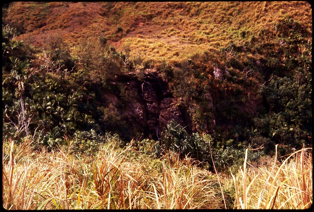 Ravine in central Guam