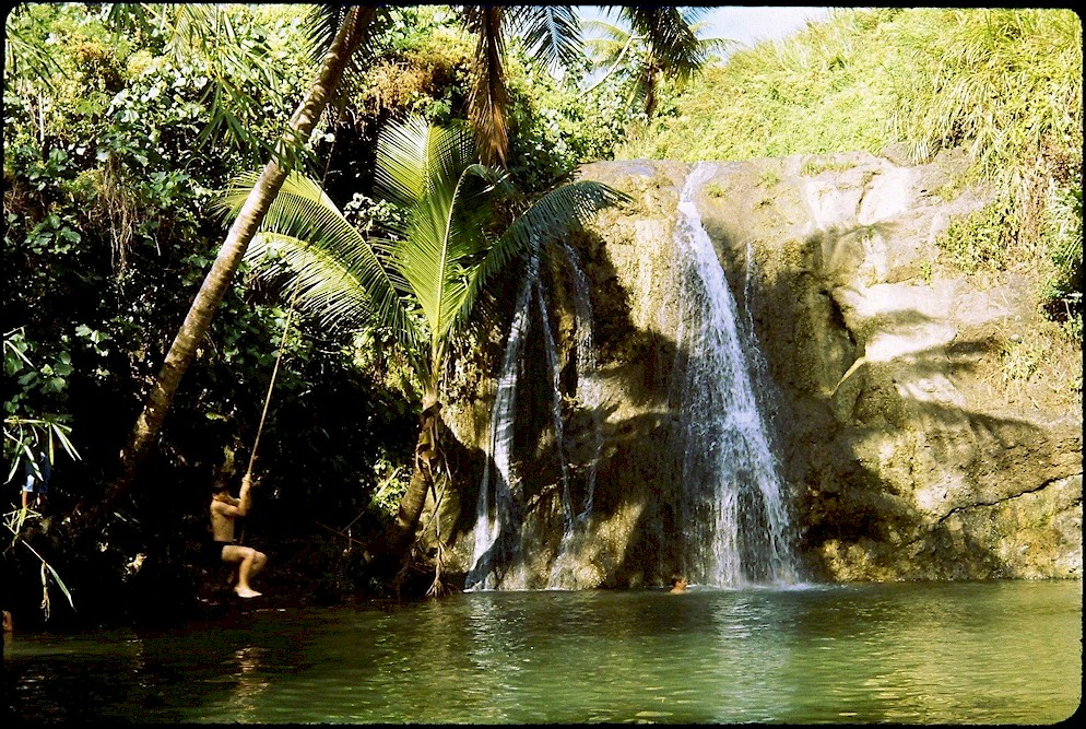 Swimmers at jungle waterfall.